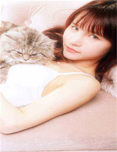 《精装追女仔2004》