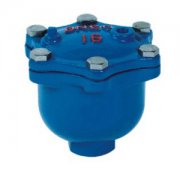  ARVX微量(liàng)排氣閥