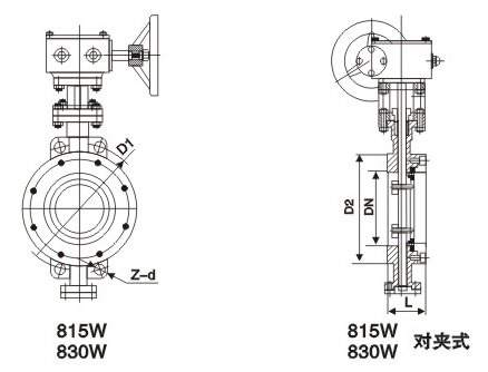 D371W美标對夾(jia)式蝶閥