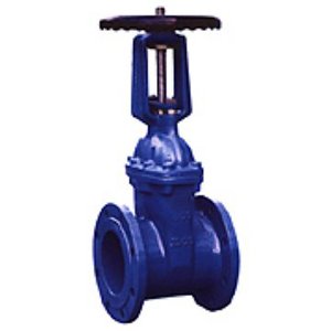 明杆彈性(xing)座封閘閥(fá)Z41XRRHX